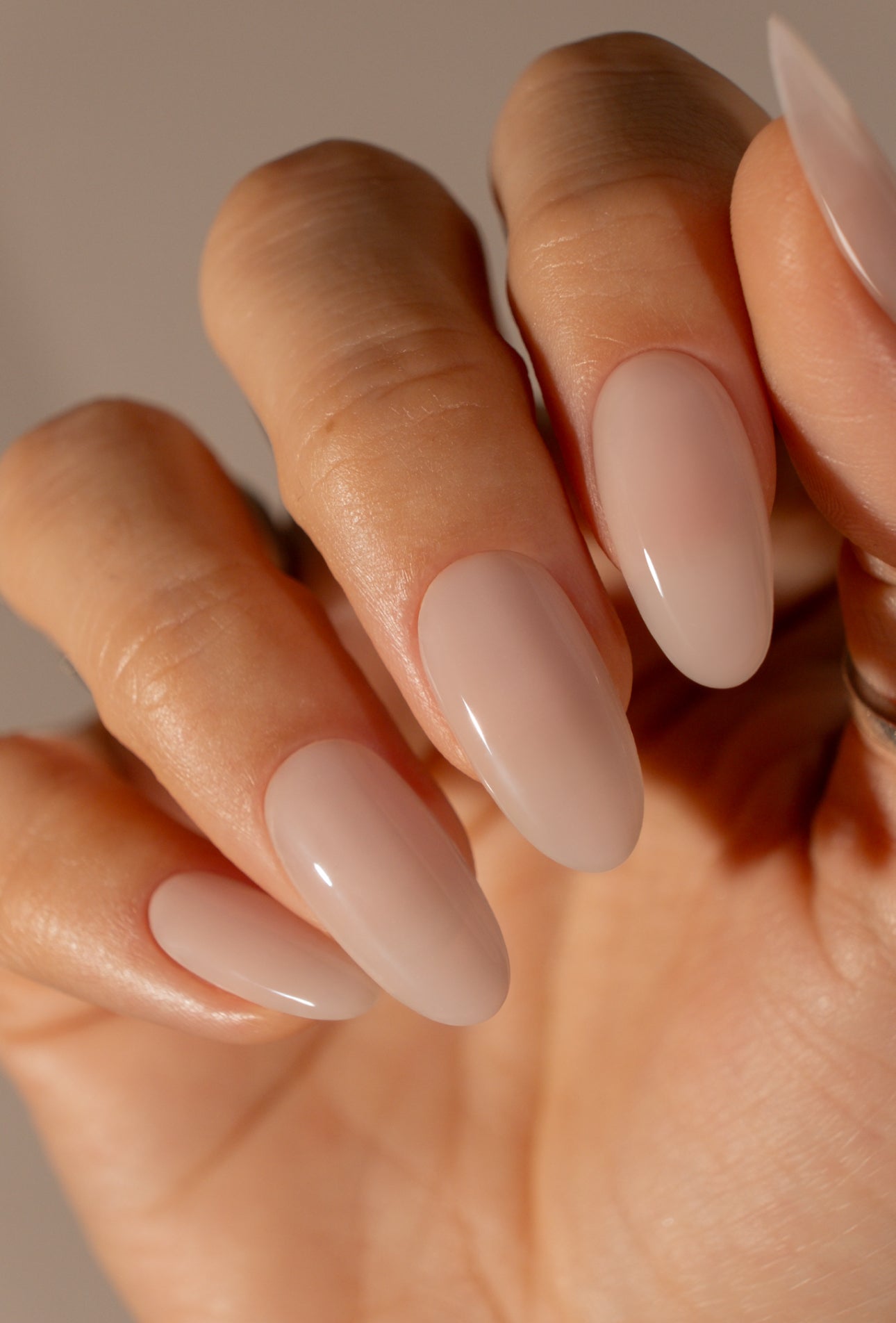 SEASHELL