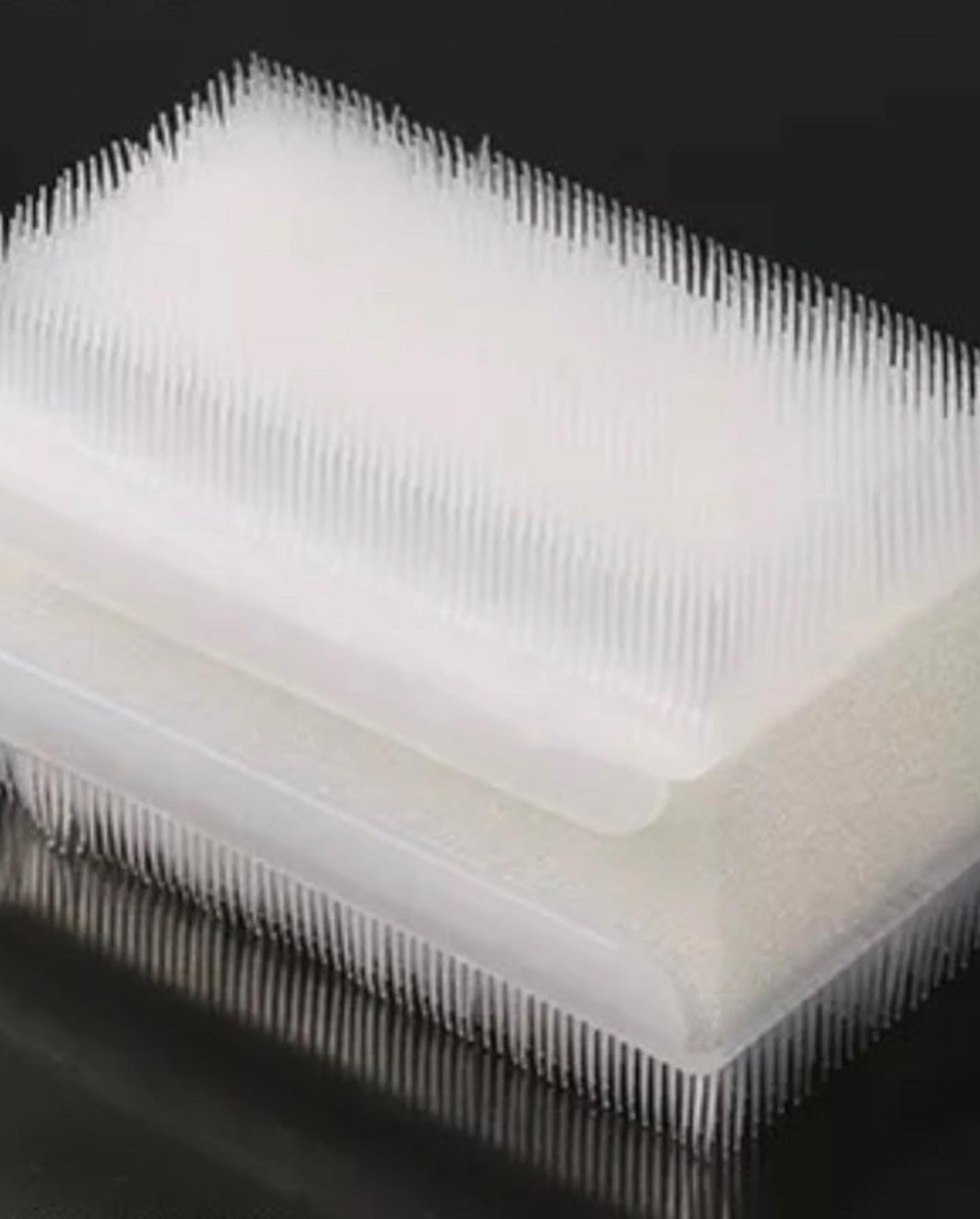 NAIL DUST BRUSH
