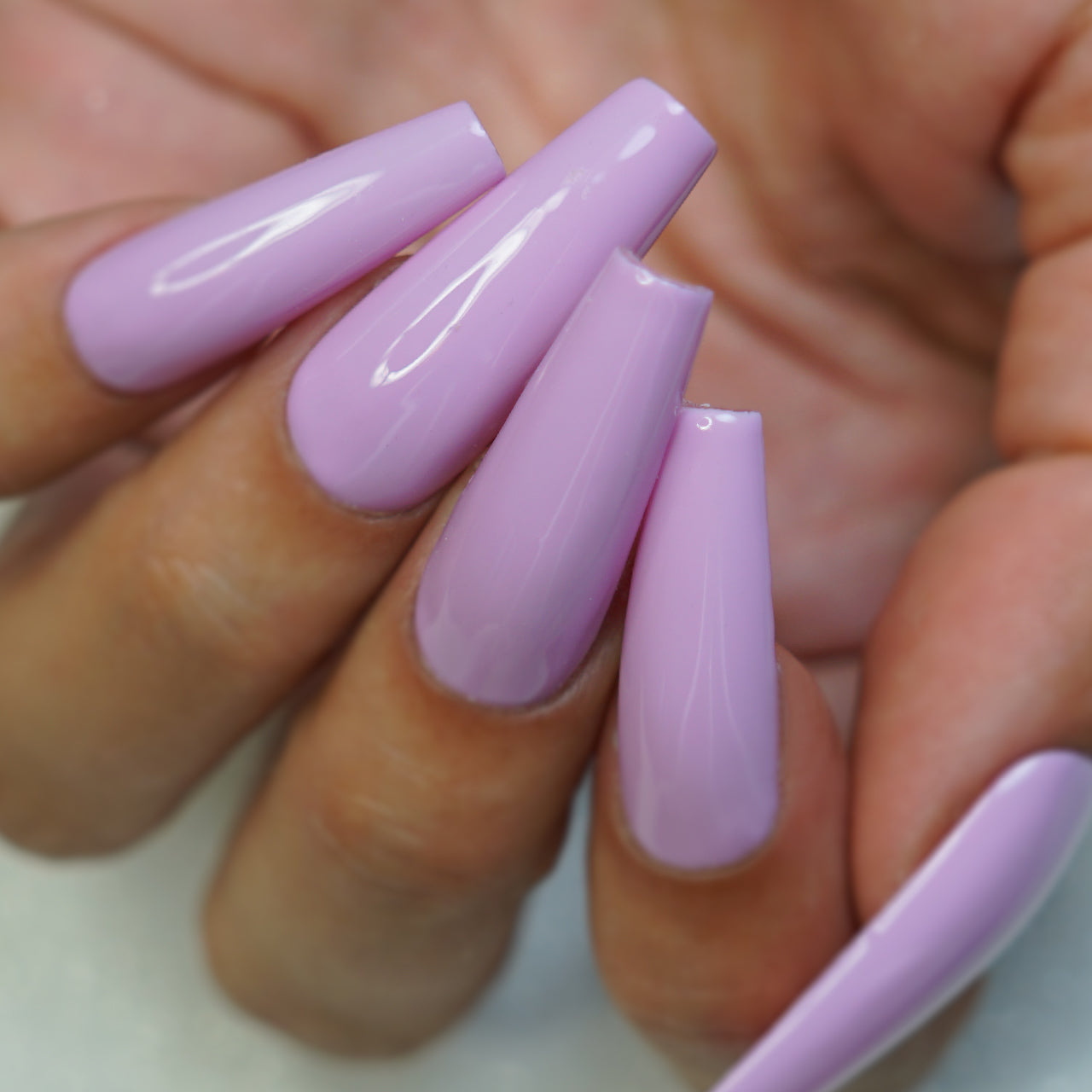 FRENCH KISS - LUXE GEL EUROPE