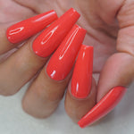 PARADISE - LUXE GEL EUROPE
